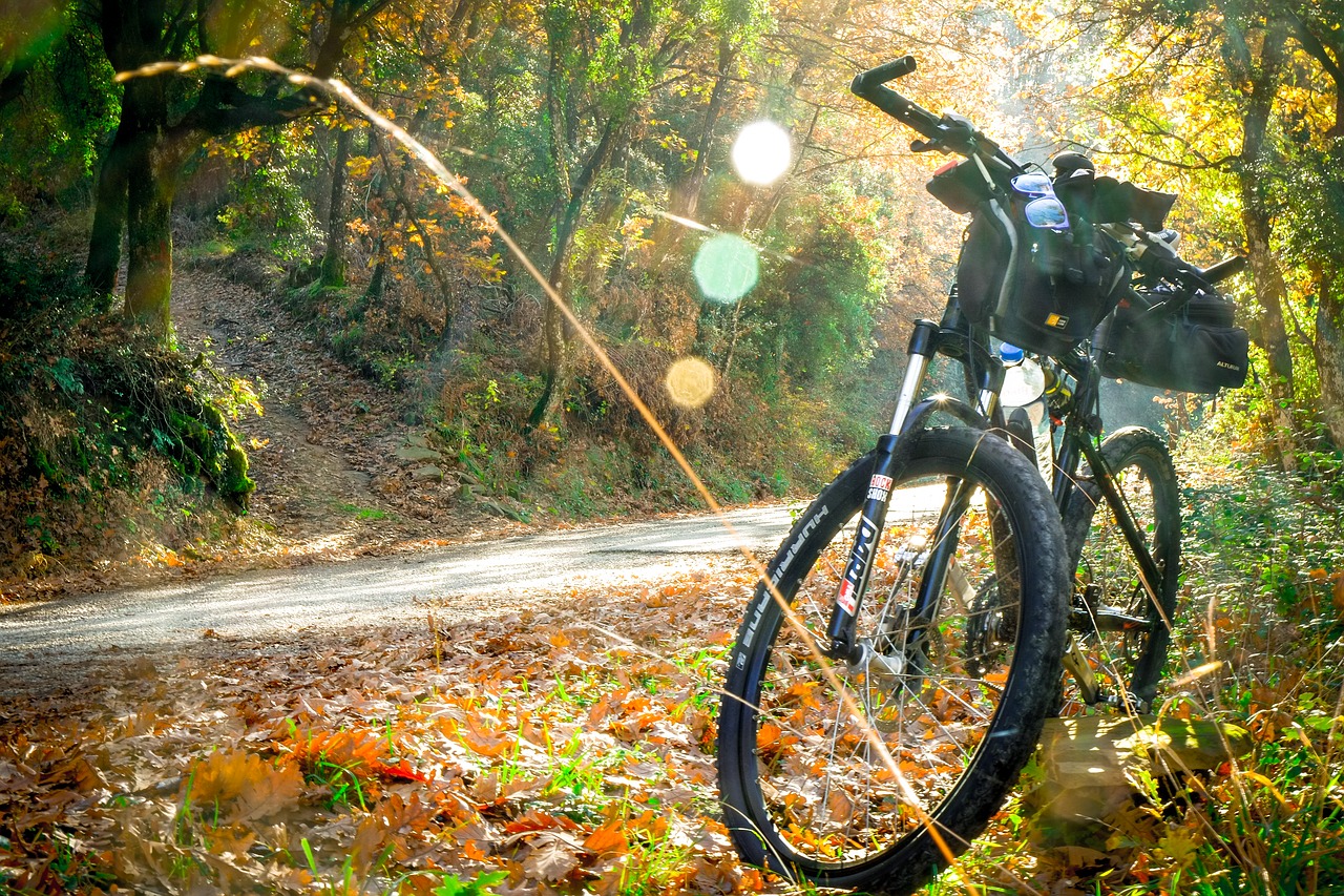 bike