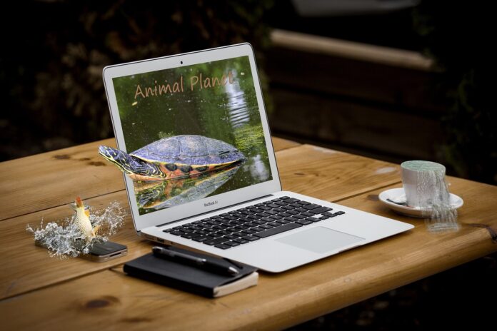 g01c4dcb7343b27fab9e7392e9351c510b63993d15e2a542d46da1a2487f624f81c3038151ab8b832dfcbc8b4546402fade8cf2ef04a37558bb2ef99d04b120c0_1280